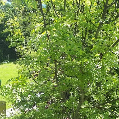 Orlitsch Appartamento Klagenfurt am Woerthersee