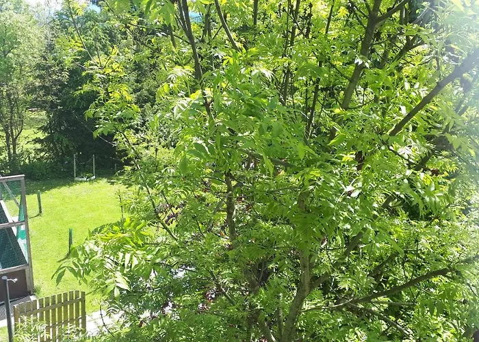 Orlitsch דירה קלגנפורט